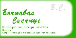 barnabas csernyi business card